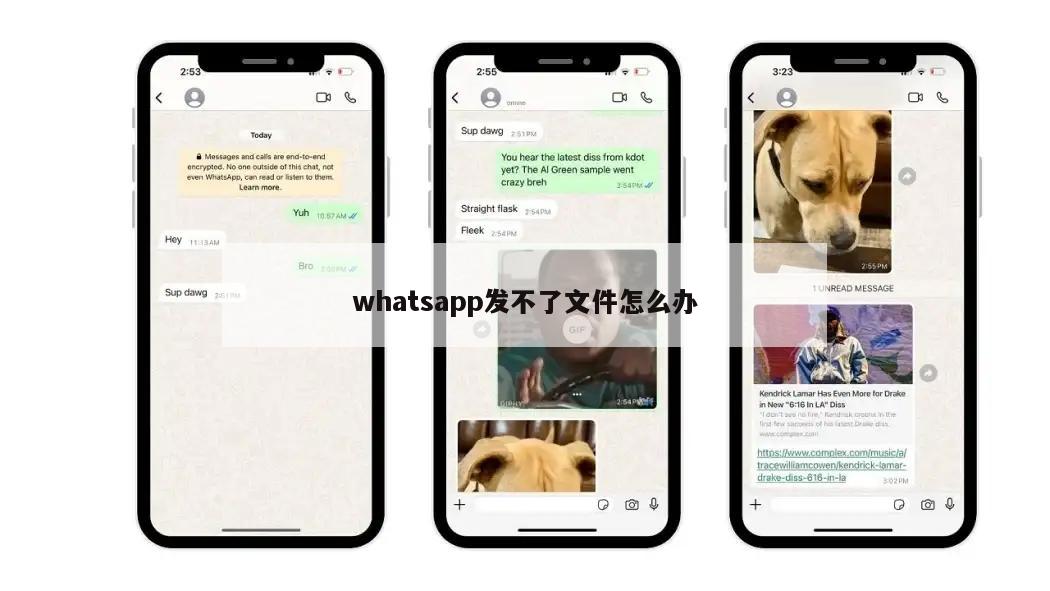 whatsapp发不了文件怎么办