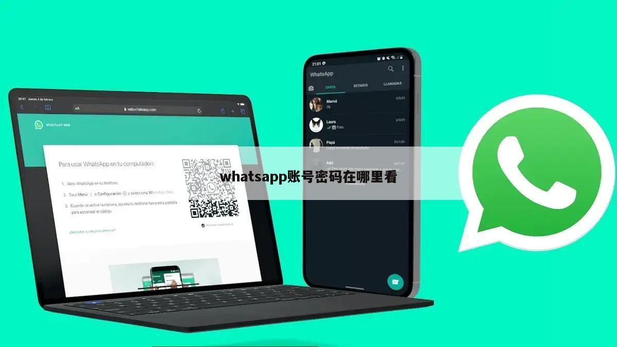 whatsapp账号密码在哪里看